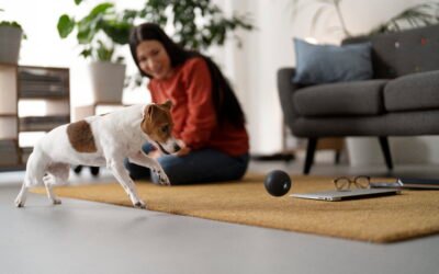 Eliminating Pet Odors from Homes in Houston, Texas